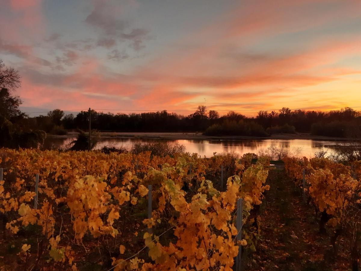 Aux Nids D'Hirondelles Appartement Pouilly-sur-Loire Buitenkant foto